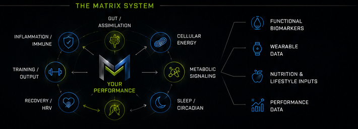 The Matrix System performance diagram
